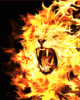 anim176220mobildesign.atw.hu_0225.gif